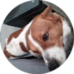 Profile photo of Paul Journet