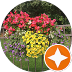 Profile photo of Chris