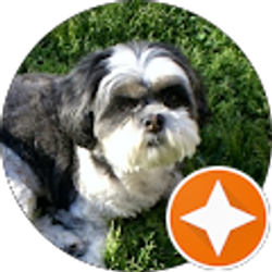 Profile photo of Terry