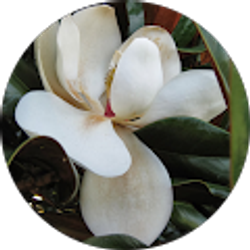 Profile photo of Maryann Fuller