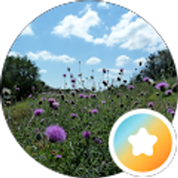 Profile photo of Karen M