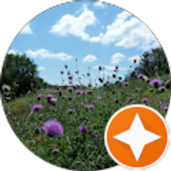 Profile photo of Karen M