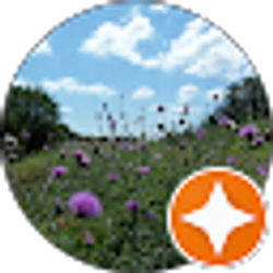 Profile photo of Karen M