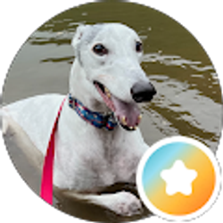 Profile photo of Jason Corbin