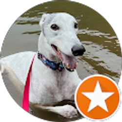 Profile photo of Jason Corbin