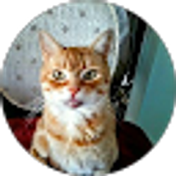 Profile photo of Cheryl Shelback