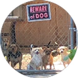 Profile photo of Della Reyes