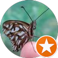 Profile photo of Rob Lelewski