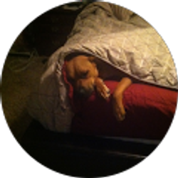 Profile photo of Beth