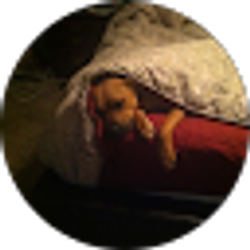 Profile photo of Beth