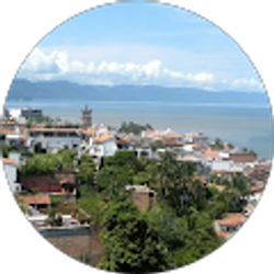 Profile photo of Angelica L