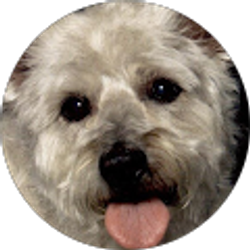 Profile photo of lfnoliver