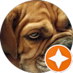 Profile photo of Becky Davidson