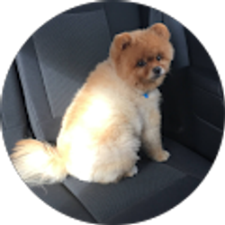 Profile photo of funda ray