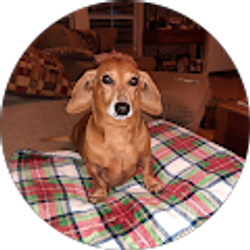 Profile photo of Dashelle Coppo