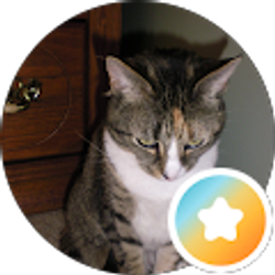 Profile photo of Sherrie Greene