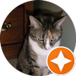 Profile photo of Sherrie Greene