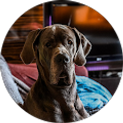 Profile photo of Troy Scott