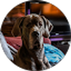 Profile photo of Troy Scott