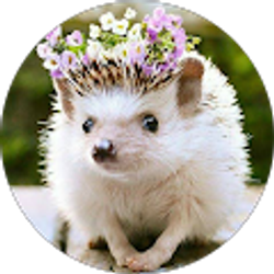 Profile photo of Nicole Kelly