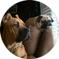 Profile photo of Chris Ness