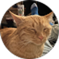 Profile photo of Kyle Hakala