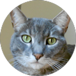 Profile photo of Moira Nash