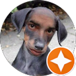 Profile photo of D Goupil