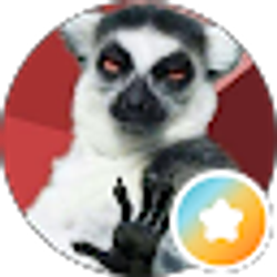 Profile photo of J Witwicky zurC
