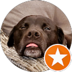 Profile photo of Dave Naimaister