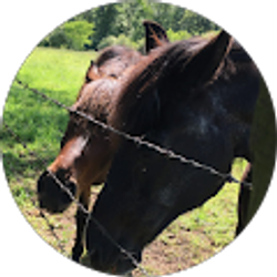 Profile photo of Katlyn vanhooser