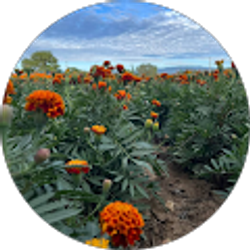 Profile photo of Aly Perez