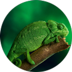 Profile photo of Phillip Garcia