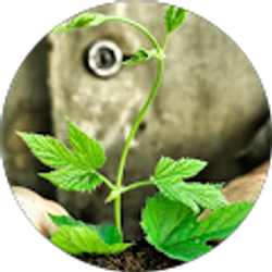 Profile photo of Kevin Mccarty