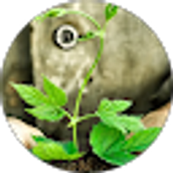 Profile photo of Kevin Mccarty