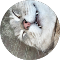 Profile photo of Kevin Eldridge