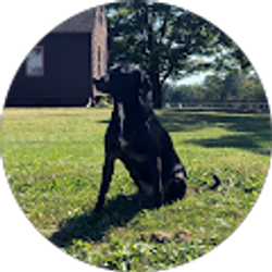 Profile photo of Dom Rigdon