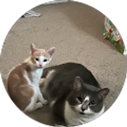 Profile photo of Deborah Taylor