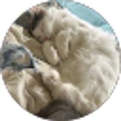 Profile photo of Miranda Tsang