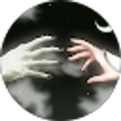 Profile photo of X Qit