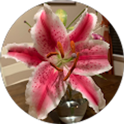 Profile photo of Silvia Smith