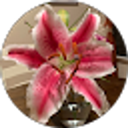 Profile photo of Silvia Smith