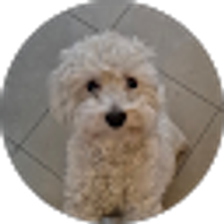Profile photo of Charlotte G