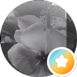 Profile photo of Haven