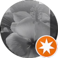 Profile photo of Haven