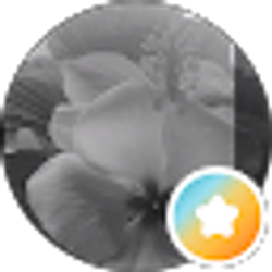 Profile photo of Haven
