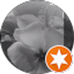 Profile photo of Haven