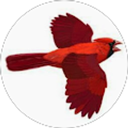 Profile photo of Carol Burti