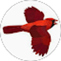 Profile photo of Carol Burti