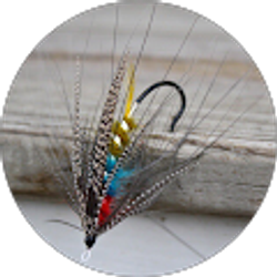 Profile photo of Fishinggiant